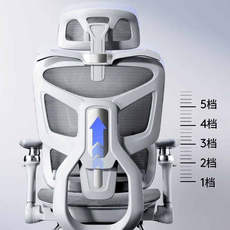 Silla Ergonómica para Computad - Computer Case reseña y precio
